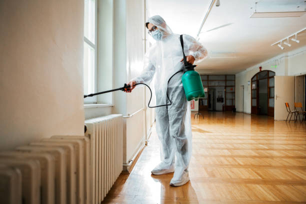 Best Pest Prevention Services  in Tubac, AZ